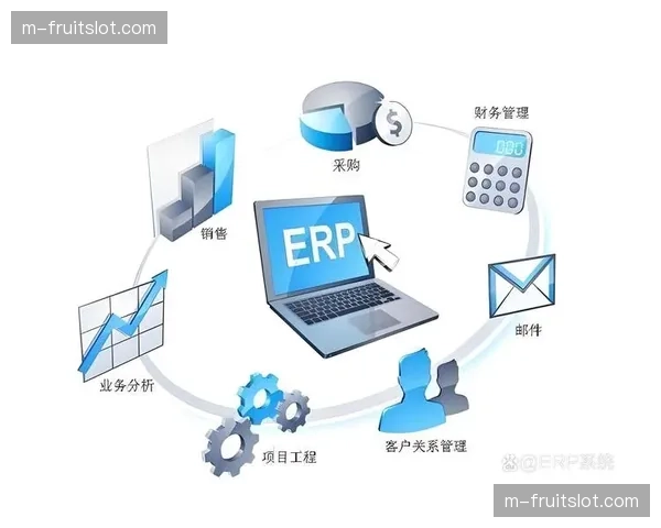 管理层级在体系建设期趋向扁平化 提升了跨部门决策效率
